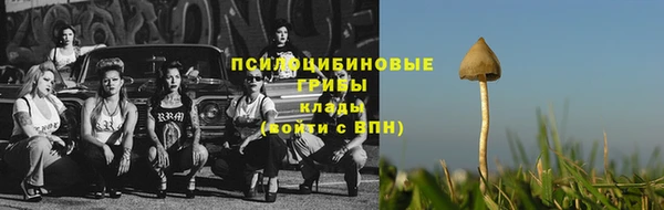 PSILOCYBIN Зеленодольск